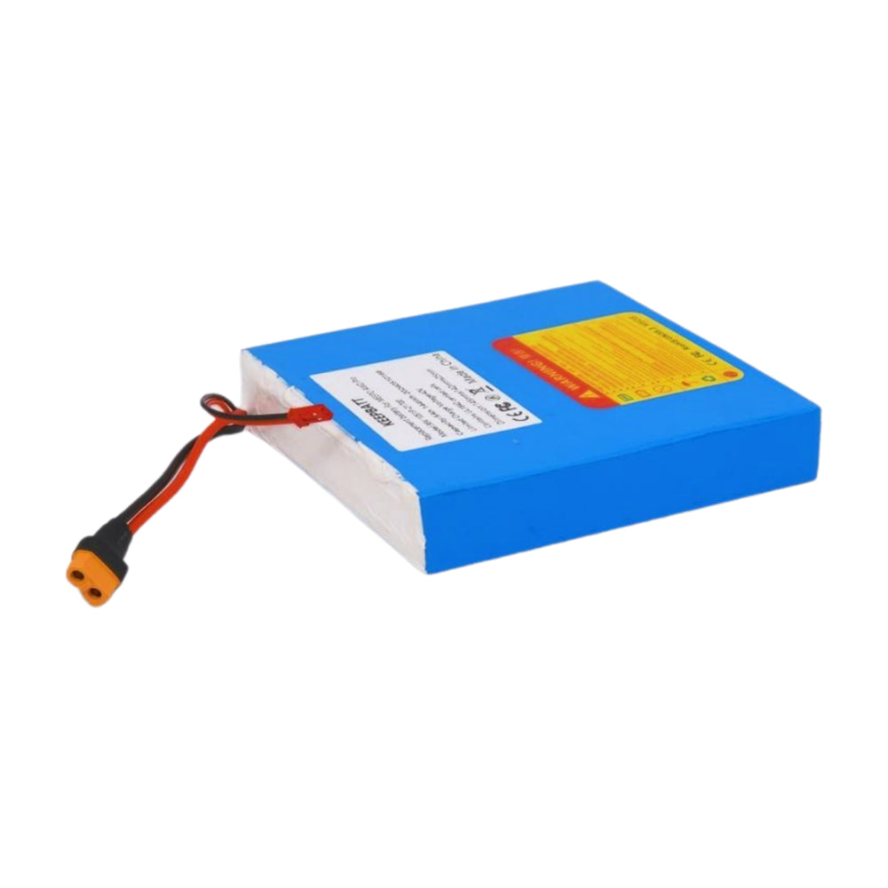 36V 12Ah Akku e Bike – Kompakter Lithium-Ionen-Akku mit 30A Spitzenstrom und XT60/JST Anschluss für E-Bikes