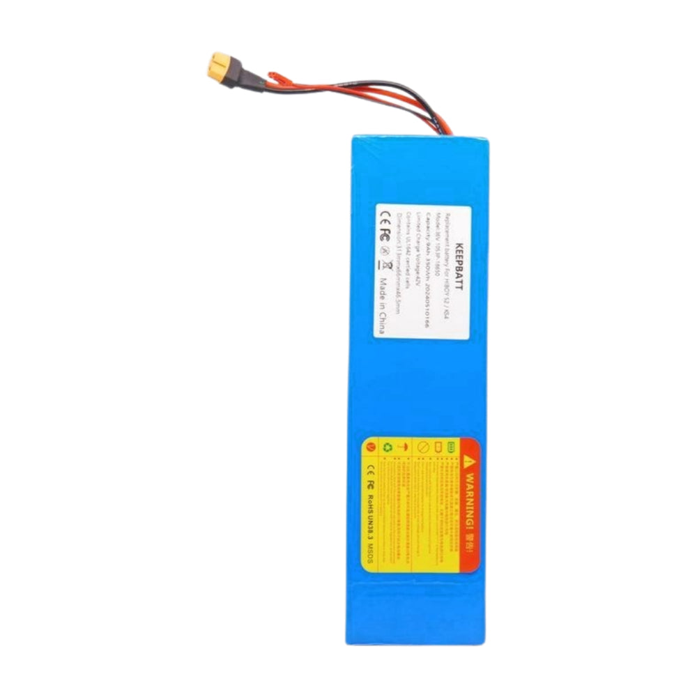 36V 9Ah Lithium-Ionen Akku bei E Bike – Leistungsstarker Ersatzakku mit 30A Spitzenstrom für vielseitige Kompatibilität